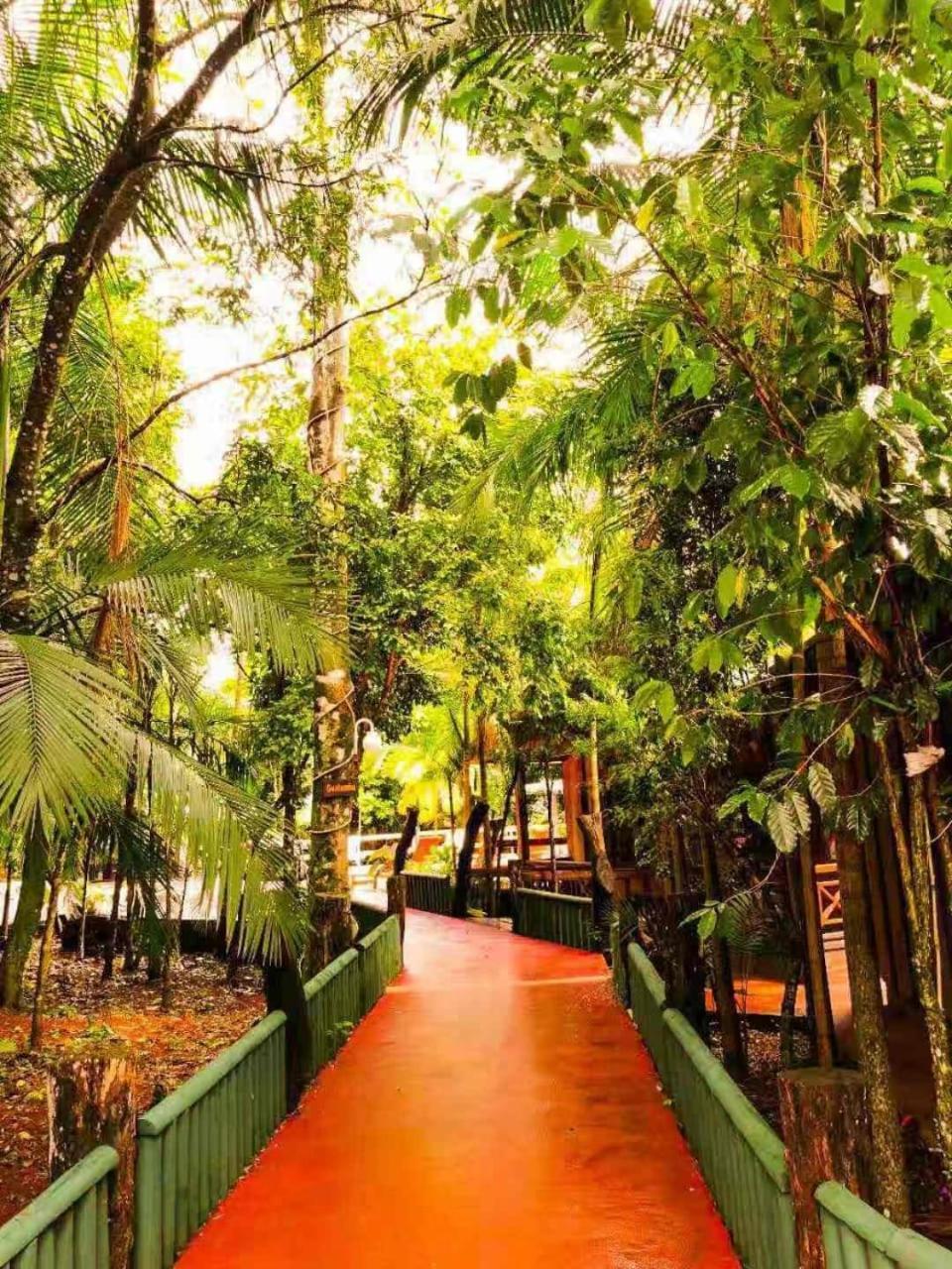Palo Rosa Lodge Puerto Iguazu Ngoại thất bức ảnh