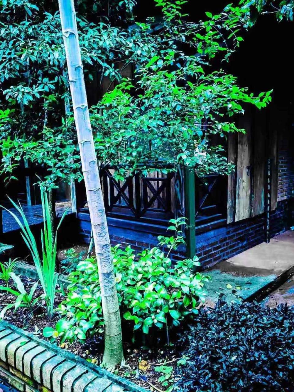 Palo Rosa Lodge Puerto Iguazu Ngoại thất bức ảnh